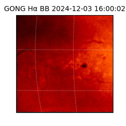 gong - 2024-12-03T16:00:02