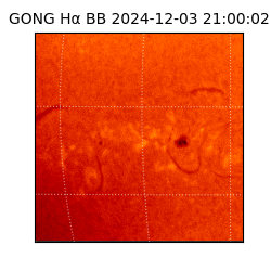 gong - 2024-12-03T21:00:02