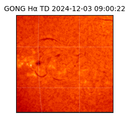 gong - 2024-12-03T09:00:22