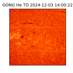gong - 2024-12-03T14:00:22
