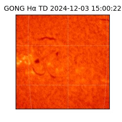 gong - 2024-12-03T15:00:22