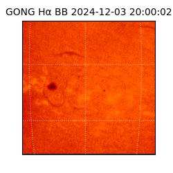 gong - 2024-12-03T20:00:02