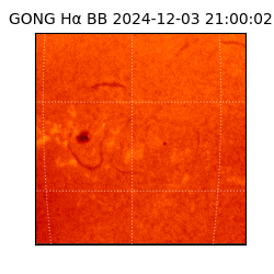 gong - 2024-12-03T21:00:02