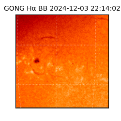 gong - 2024-12-03T22:14:02