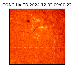 gong - 2024-12-03T09:00:22