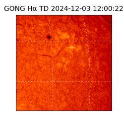 gong - 2024-12-03T12:00:22