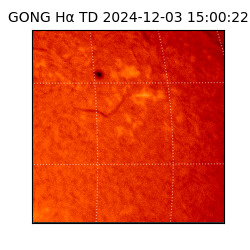 gong - 2024-12-03T15:00:22