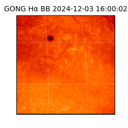 gong - 2024-12-03T16:00:02