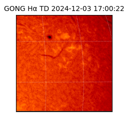 gong - 2024-12-03T17:00:22