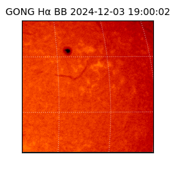 gong - 2024-12-03T19:00:02