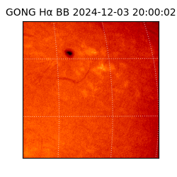 gong - 2024-12-03T20:00:02