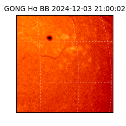 gong - 2024-12-03T21:00:02