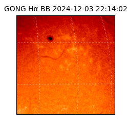 gong - 2024-12-03T22:14:02