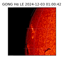 gong - 2024-12-03T01:00:42