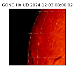 gong - 2024-12-03T08:00:02