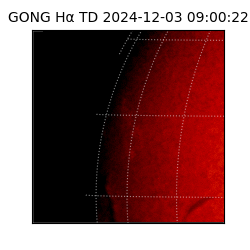 gong - 2024-12-03T09:00:22