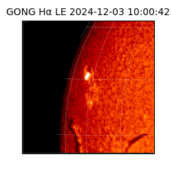 gong - 2024-12-03T10:00:42