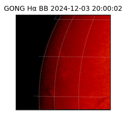 gong - 2024-12-03T20:00:02