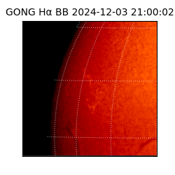 gong - 2024-12-03T21:00:02