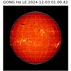 gong - 2024-12-03T01:00:42