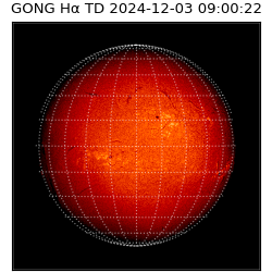 gong - 2024-12-03T09:00:22