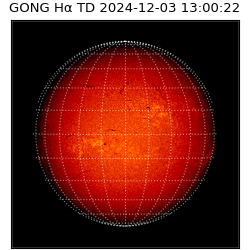 gong - 2024-12-03T13:00:22