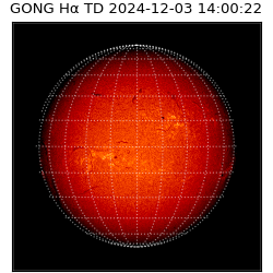 gong - 2024-12-03T14:00:22
