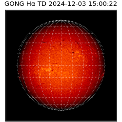 gong - 2024-12-03T15:00:22