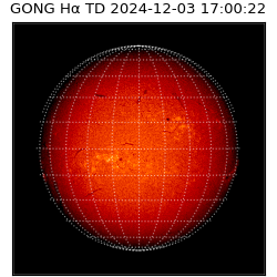 gong - 2024-12-03T17:00:22