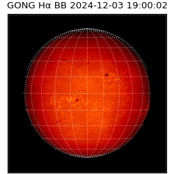 gong - 2024-12-03T19:00:02