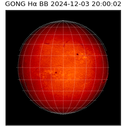 gong - 2024-12-03T20:00:02