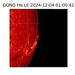 gong - 2024-12-04T01:00:42