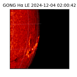 gong - 2024-12-04T02:00:42