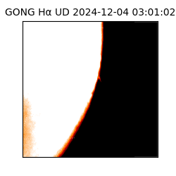 gong - 2024-12-04T03:01:02