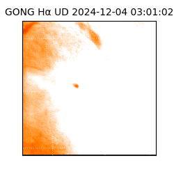 gong - 2024-12-04T03:01:02