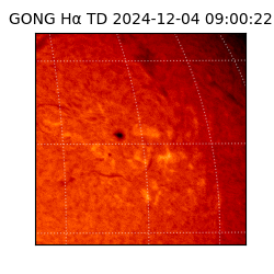 gong - 2024-12-04T09:00:22