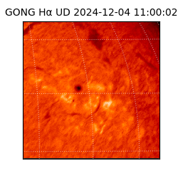 gong - 2024-12-04T11:00:02