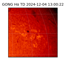 gong - 2024-12-04T13:00:22