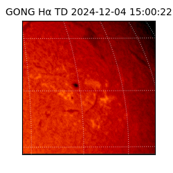 gong - 2024-12-04T15:00:22