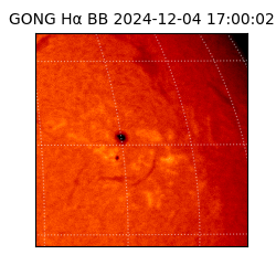 gong - 2024-12-04T17:00:02