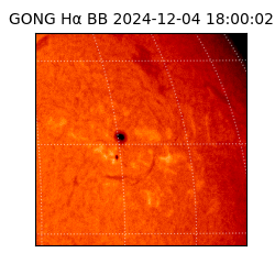 gong - 2024-12-04T18:00:02