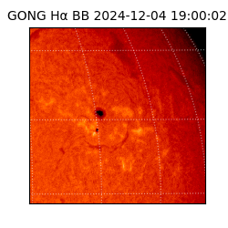 gong - 2024-12-04T19:00:02