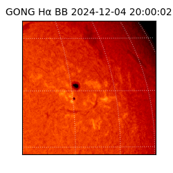 gong - 2024-12-04T20:00:02