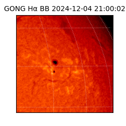 gong - 2024-12-04T21:00:02