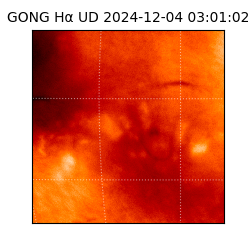 gong - 2024-12-04T03:01:02