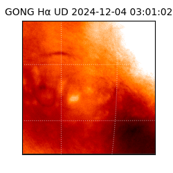 gong - 2024-12-04T03:01:02