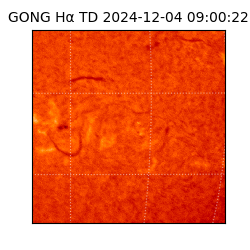 gong - 2024-12-04T09:00:22