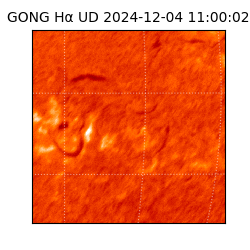 gong - 2024-12-04T11:00:02