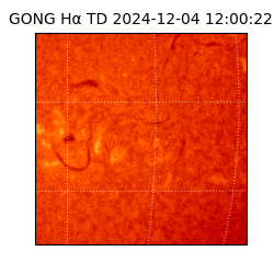 gong - 2024-12-04T12:00:22