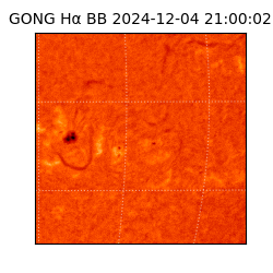 gong - 2024-12-04T21:00:02